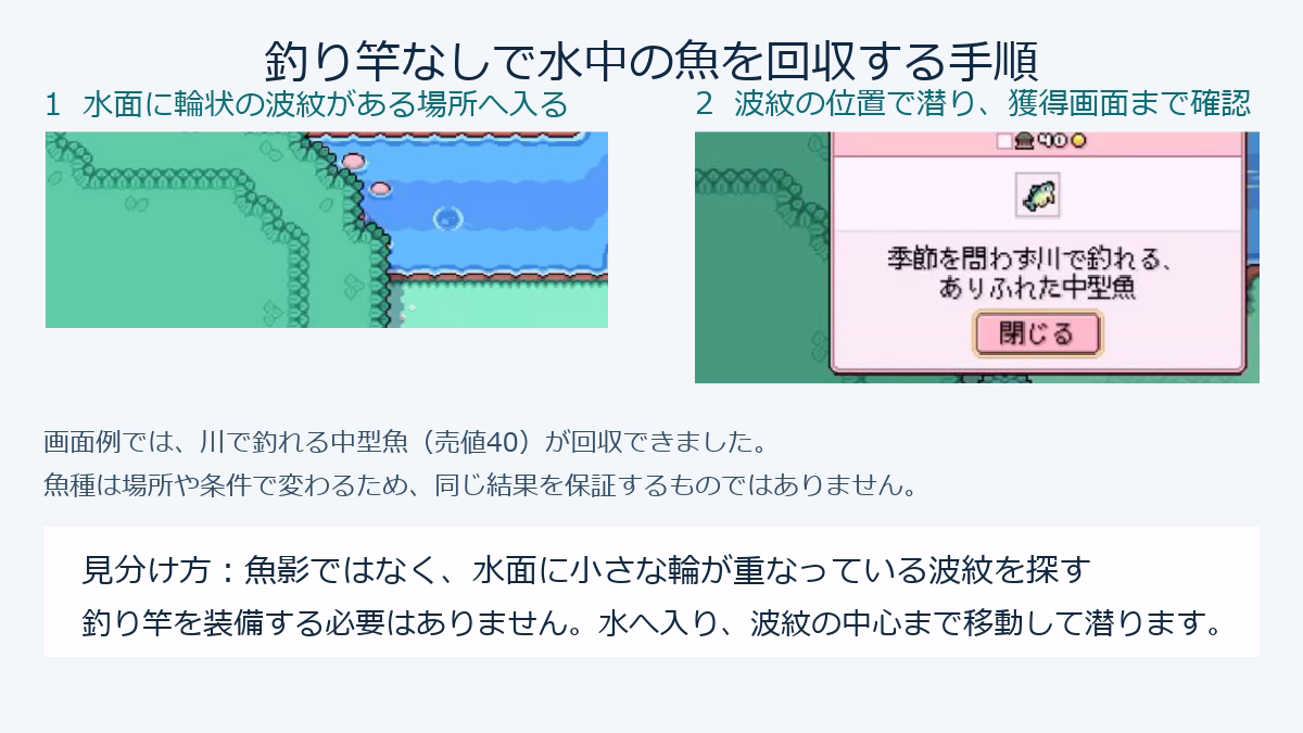 Fields of Mistriaで水面の波紋へ入り釣り竿なしで魚を回収する日本語手順図