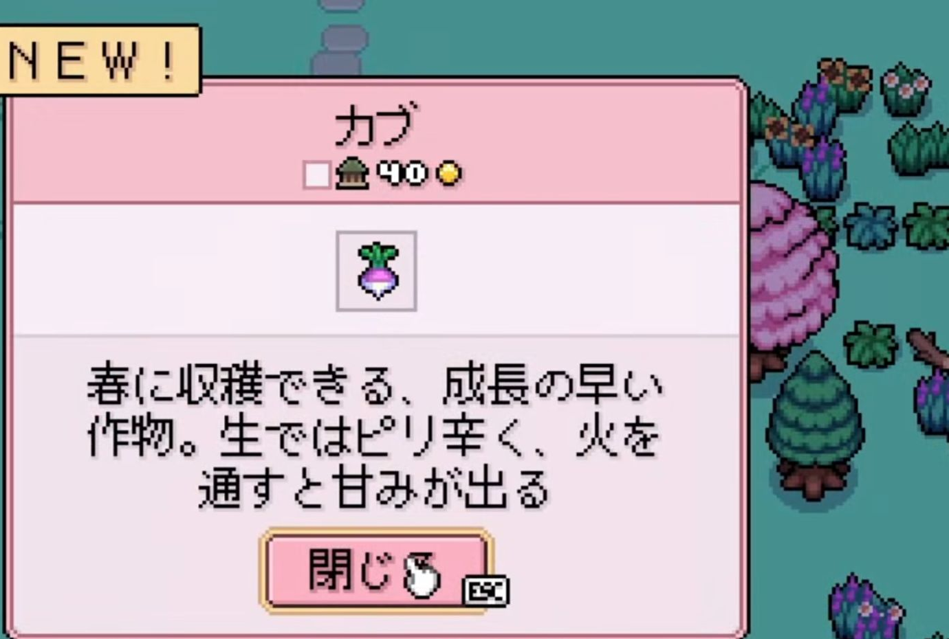 雑貨屋でカブの種が40テッセラと表示されている画面