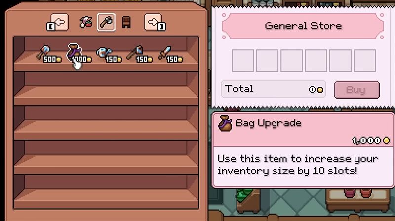 Bag Upgradeは1,000t。説明には、使用すると持ち物が10枠増えるとあります。
